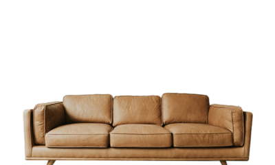 Brown Living Room Sofa